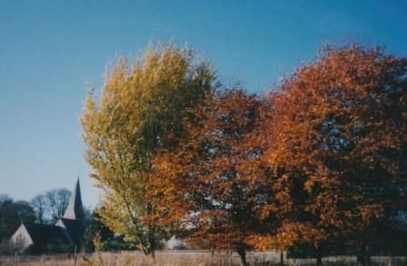 Autumn Colours