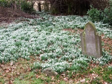 St Mary's Churchyard