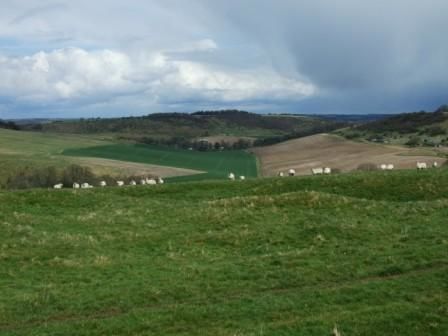 Hippenscombe from Causeway